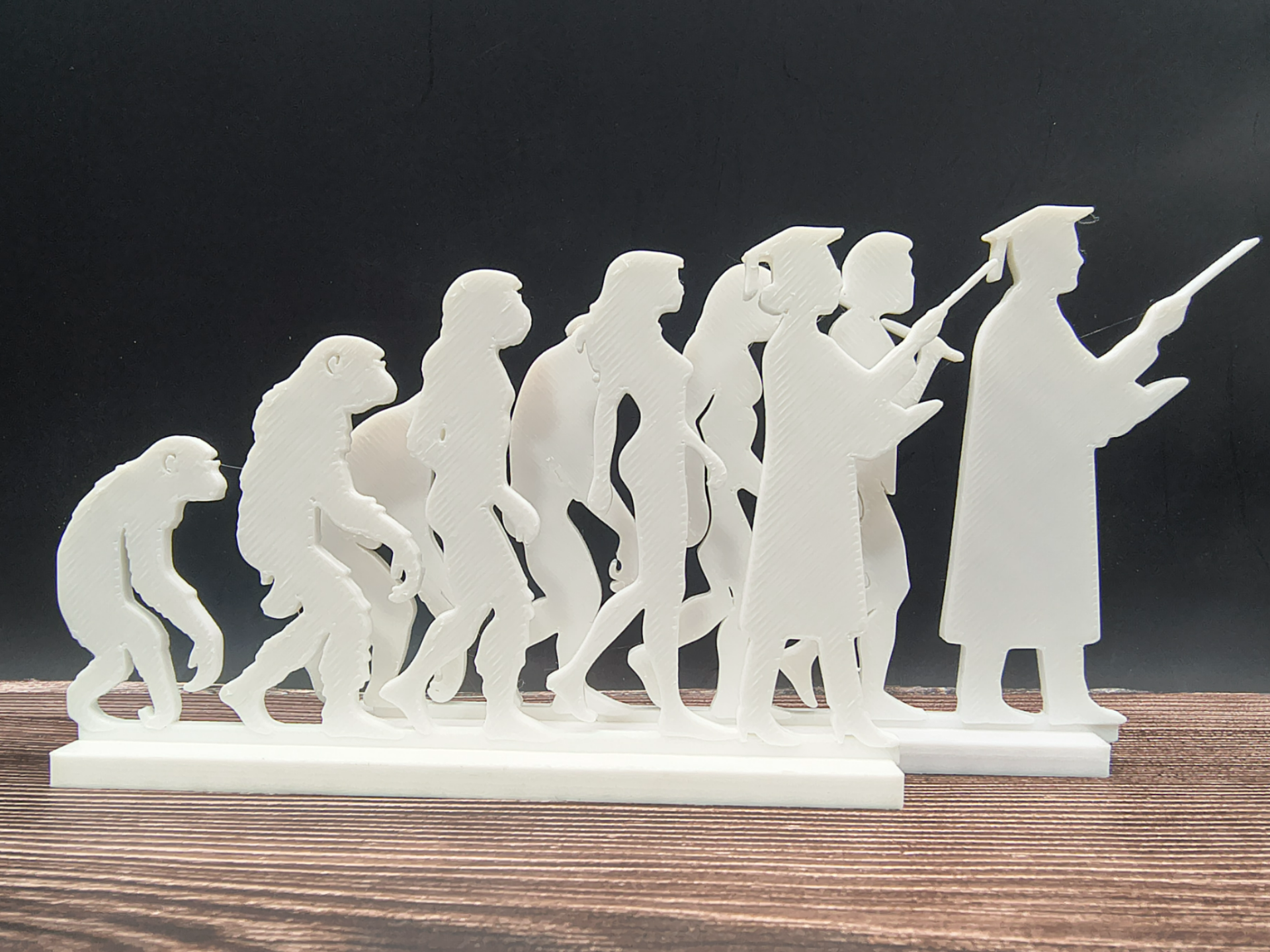 Professor Evolution Silhouette