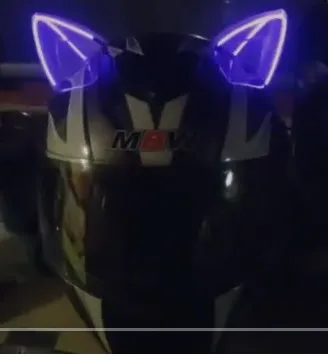 Motorcycle helmet ears