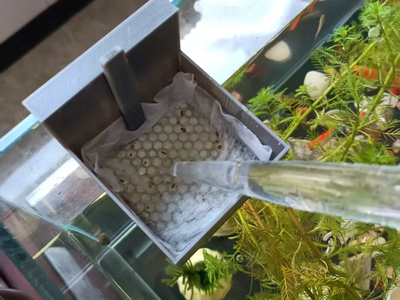 分体式鱼缸手动鱼屎进化池二
