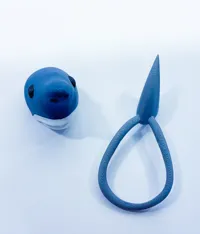 Closed Mouth Shark Head