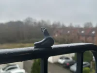 Sifflet oiseau — photo 2