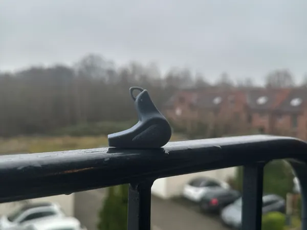 Sifflet oiseau