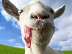 cerchio