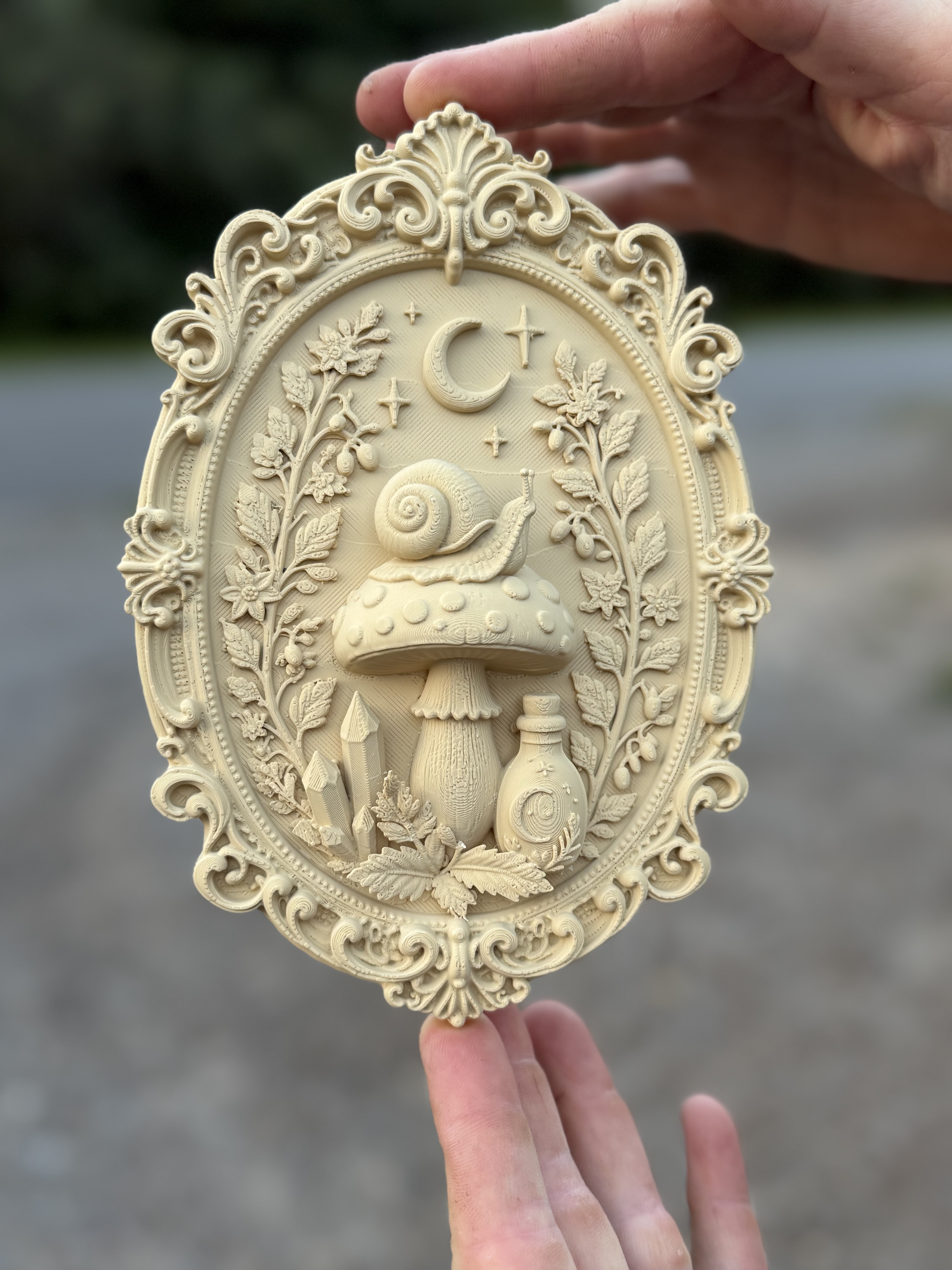 Snail on a Mushroom Frame - 1