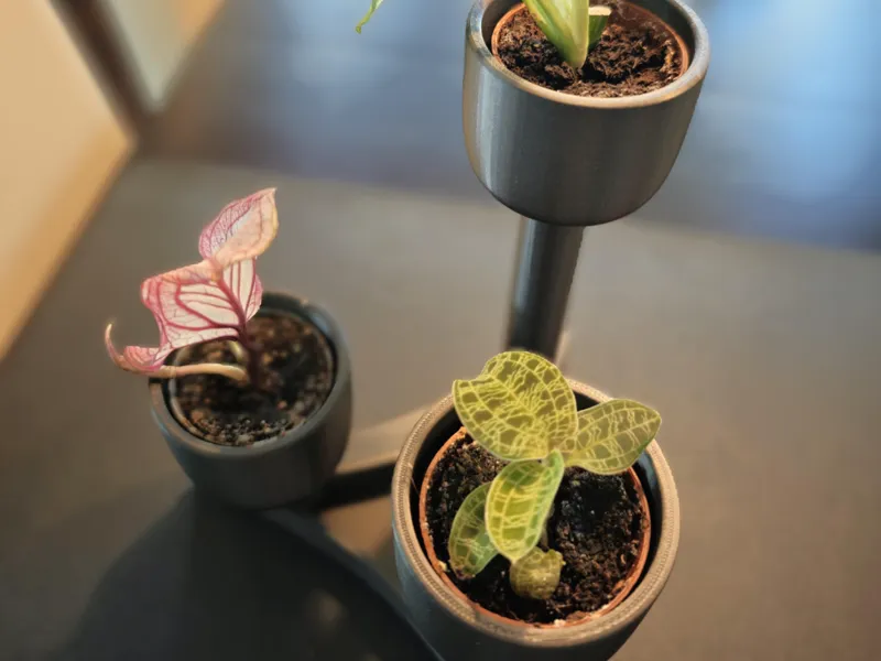 Flowerpot stand with drainage and drip tray