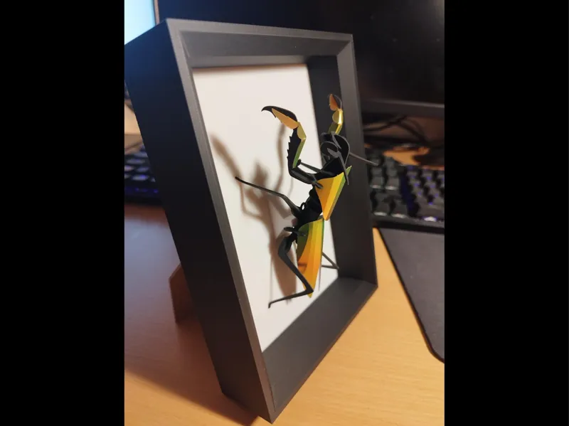 Picture frame tall 