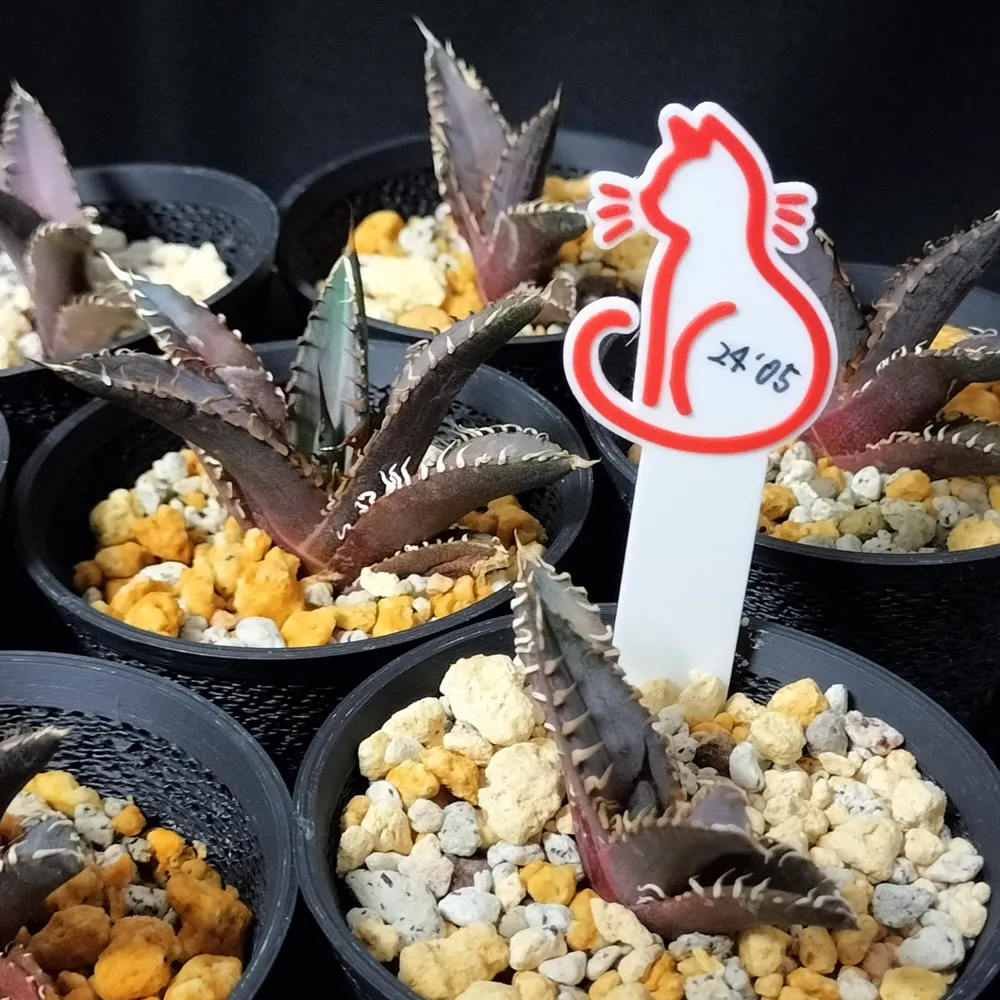 Agave Plant Tag / zt002 Red Catweazle by Zamurai3D MakerWorld