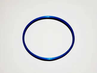Pentair Pool Pump O Ring