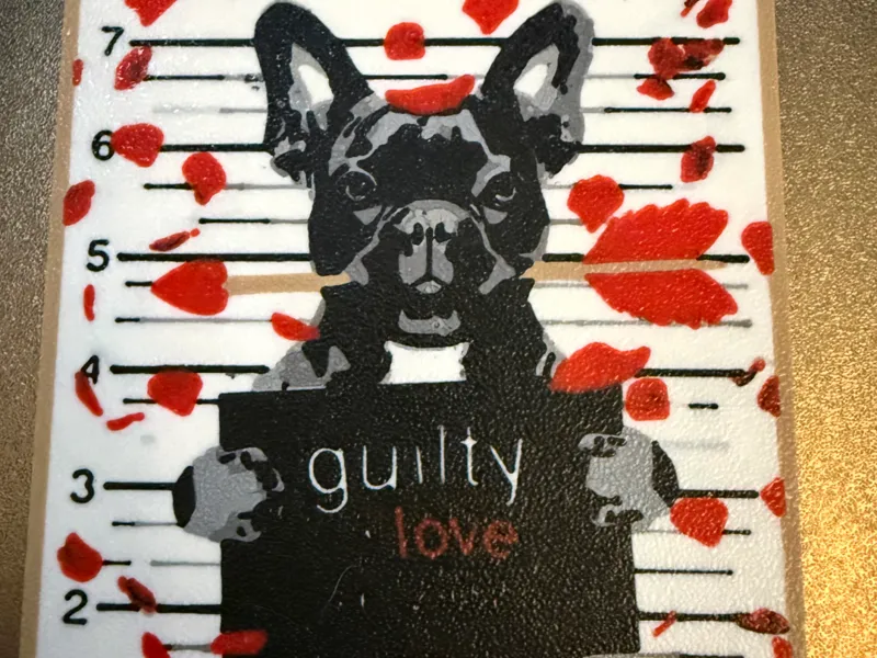 French Bulldog Love Coaster, multi ams 7 colours.