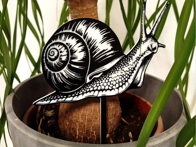 Blumenstecker Schnecke