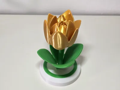 Tulip flower with base