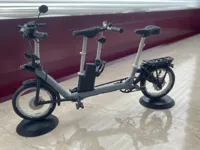 Multi-Color / Single-Color Tandem Bike Project