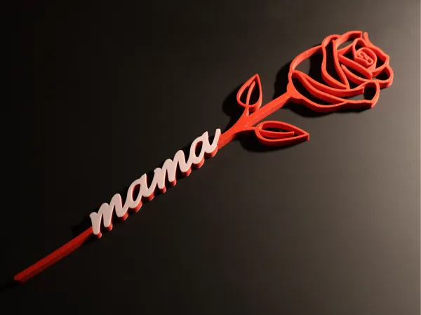 https://makerworld.bblmw.com/makerworld/model/USa48ed1b94fc50e/design/2025-02-04_a5ed1e1fe97c6.jpg