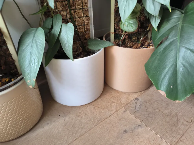 minimalistic planter / flower pot