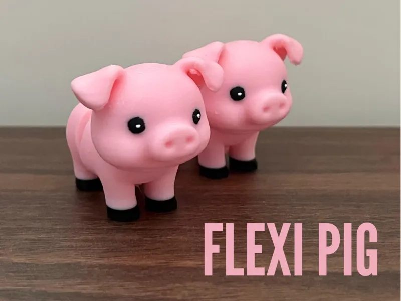 Flexi Pig