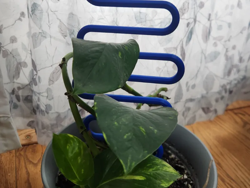 Snaking plant stake