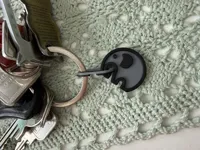 Elephant with ring