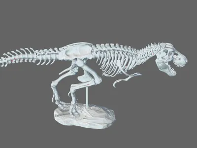T-REX assembled 210%   
