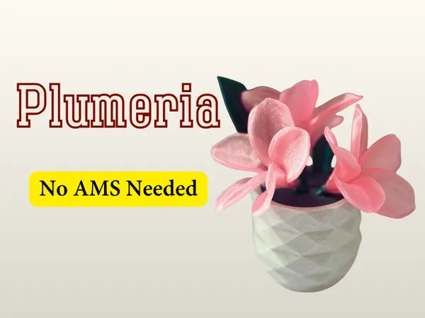 https://makerworld.bblmw.com/makerworld/model/USa49bfd4a87283d/design/b1e4eb81be20751e.png