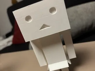 Amazon Roboter Danbo
