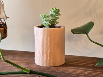 Succulent pot - with drainage | Bamboo texture