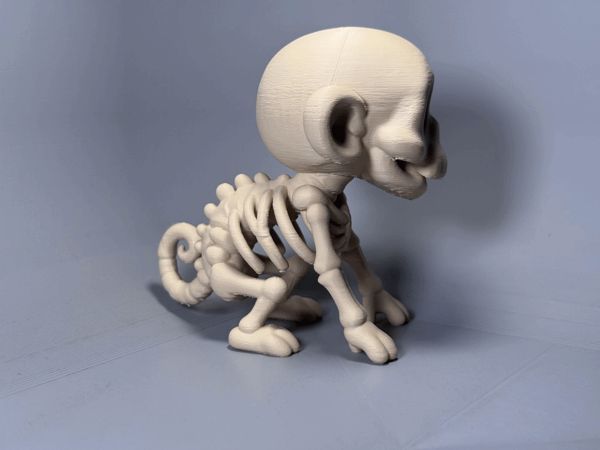 https://makerworld.bblmw.com/makerworld/model/USa4a15c156d1c1b/design/2025-08-06_06bd8633612ae8.gif