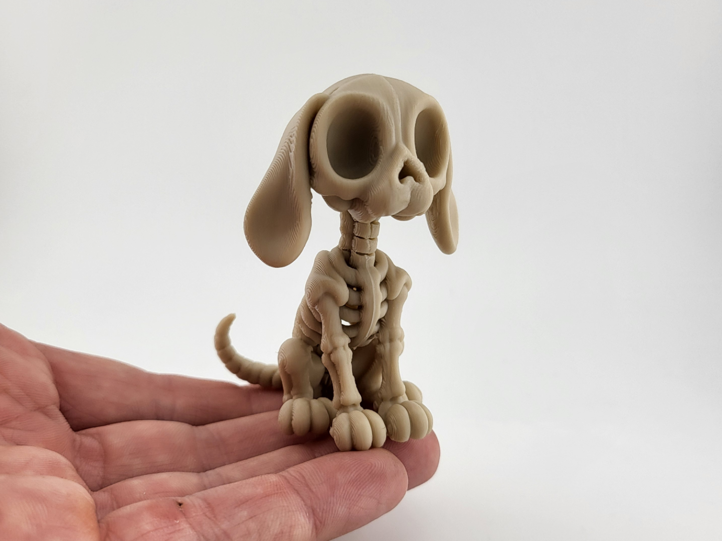 Skeleton Dog | Cute Halloween Gothic Decor - 1