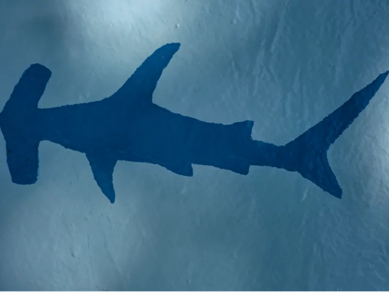 Shark Stencils
