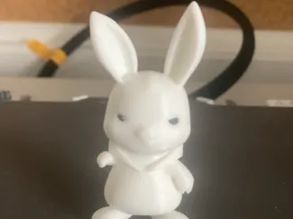 Adorable Bunny In a Hoodie   