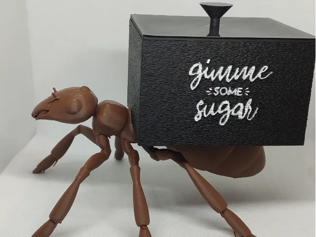 Sugar Ant box