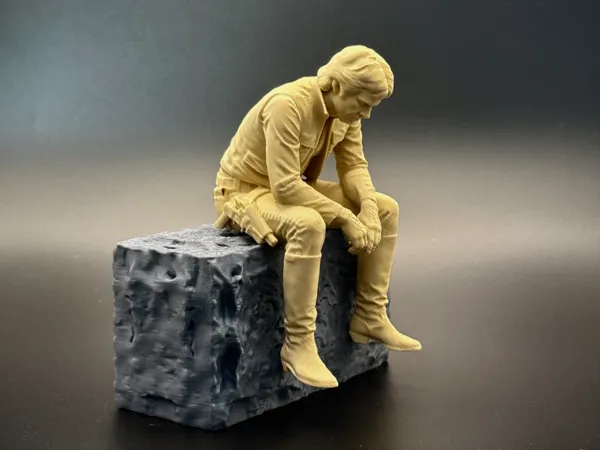 https://makerworld.bblmw.com/makerworld/model/USa4b28fa874e596/design/f3ce2335b713428e.jpeg
