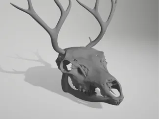elk helmet movable jaw