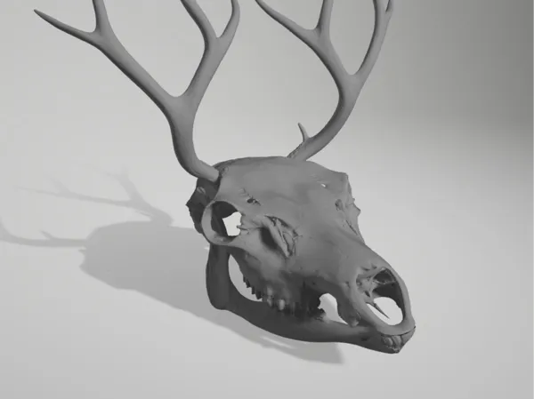 https://makerworld.bblmw.com/makerworld/model/USa4b8893bb1404f/design/2025-03-26_a55f1b8b275a2.jpg