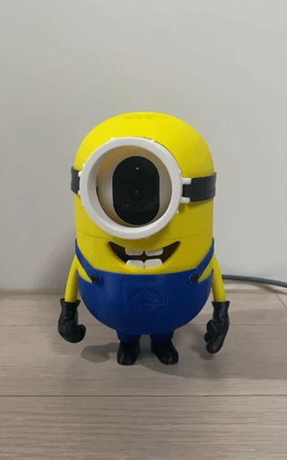 Minion Camera Cover/Skin (iptime C500G / C400G)