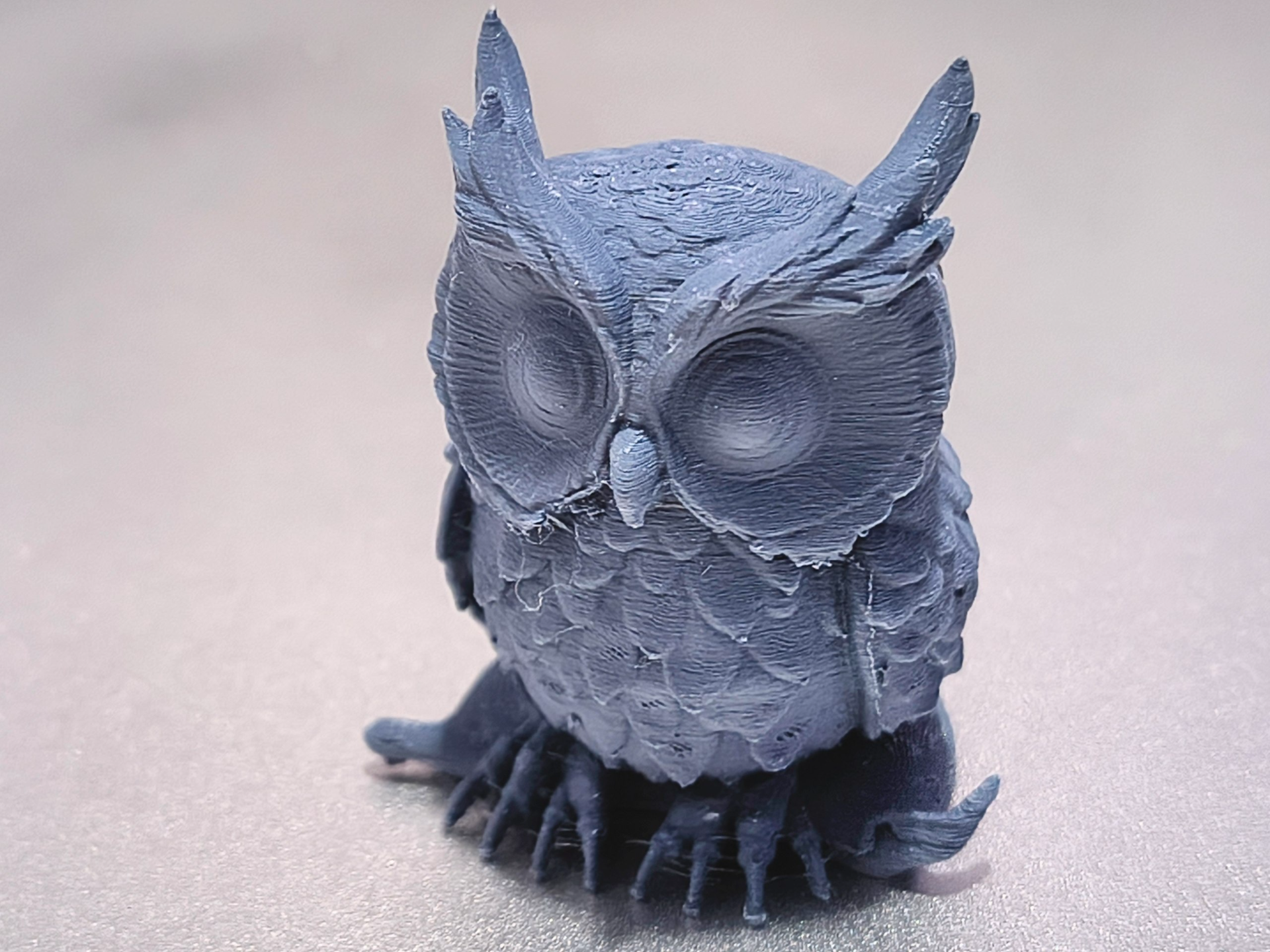Wisewood Owl Companion