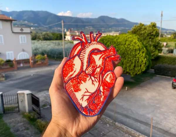 https://makerworld.bblmw.com/makerworld/model/USa4c33763aa602c/design/2024-07-30_2f8cefdb79daa.jpeg