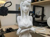 0.16mm layer, 2 walls, 15% infill