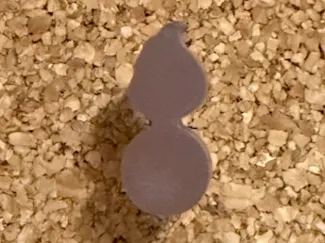 Ordnance Bomb Thumb Tack Cover