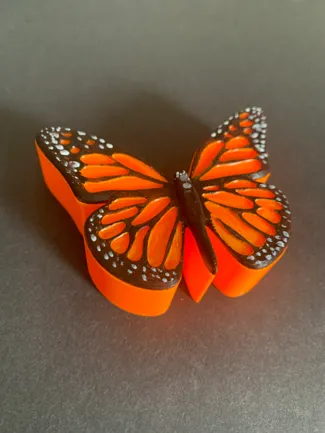 BUTTERFLY BOX