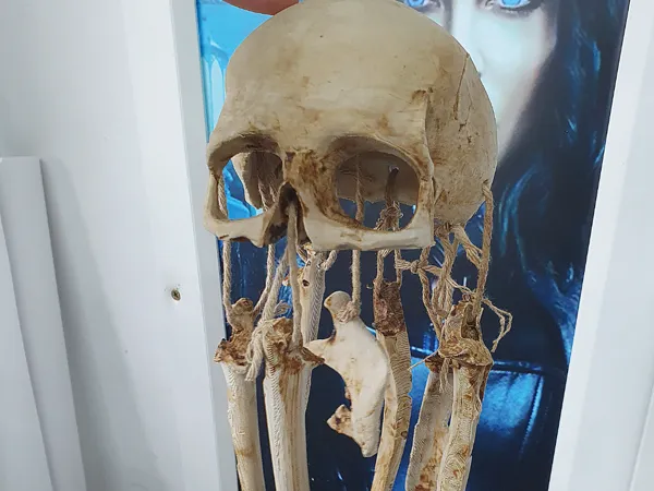 https://makerworld.bblmw.com/makerworld/model/USa4d0671dd90ee5/design/2025-06-07_6e14111e945088.jpg