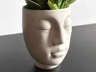 Flower Pot Face