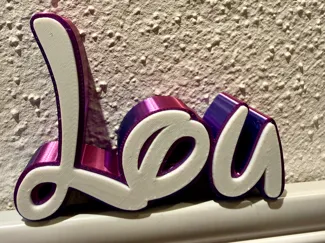 Disney Schriftzug Lou