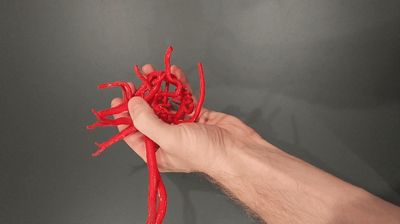Circle of Willis/Arteries of the Brain - Free 3D Print Model - MakerWorld