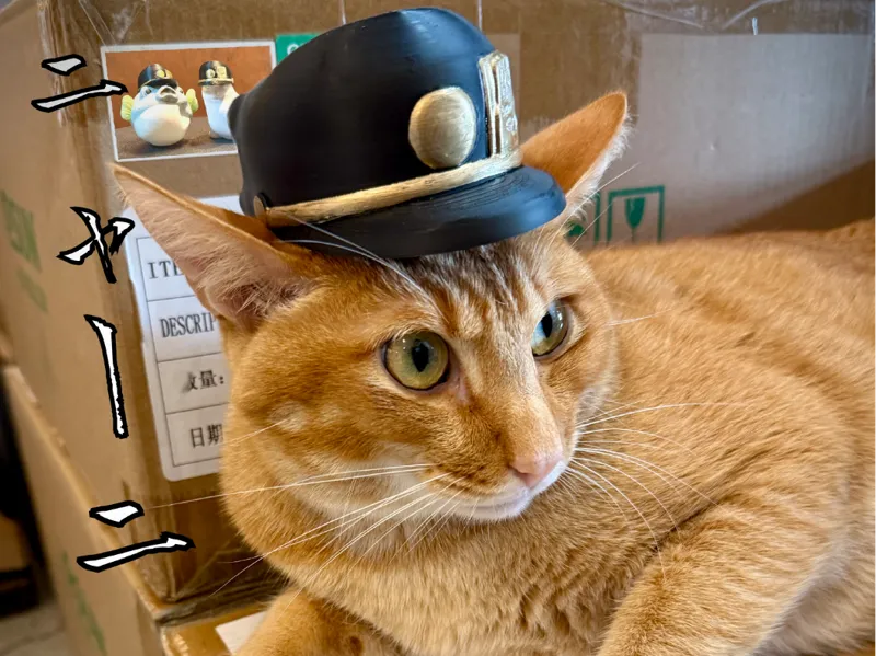 JOJO Jotaro's cap: Jojo's Bizarre Adventure