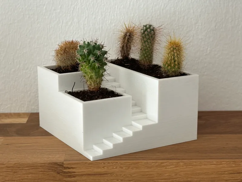 Modern Succulent Pot