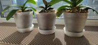 0.2mm layer, 3 walls, 15% infill