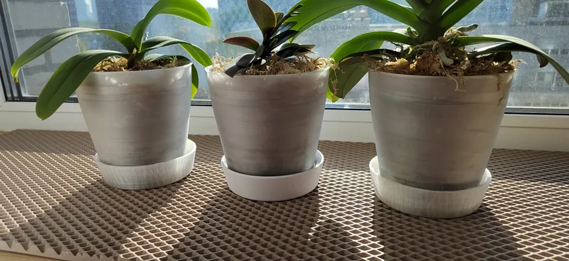 flower pot and saucer