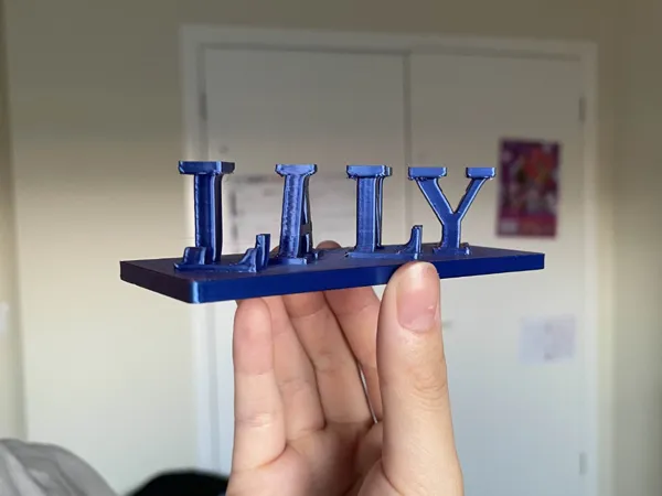 https://makerworld.bblmw.com/makerworld/model/USa4ef4e0191d621/design/2026-01-12_24298fee43e3e.jpg