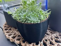 0.2mm layer, 3 walls, 15% infill