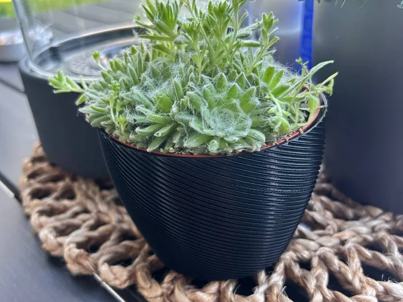 Kleiner Blumentopf 11cm x 8cm hoch